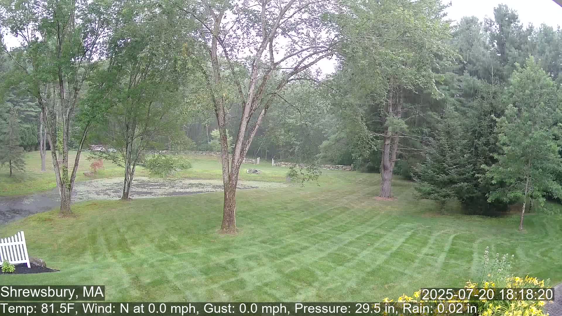 Scenic Pond and Trees Live Cam - Shrewsbury, Massachusetts , USA
