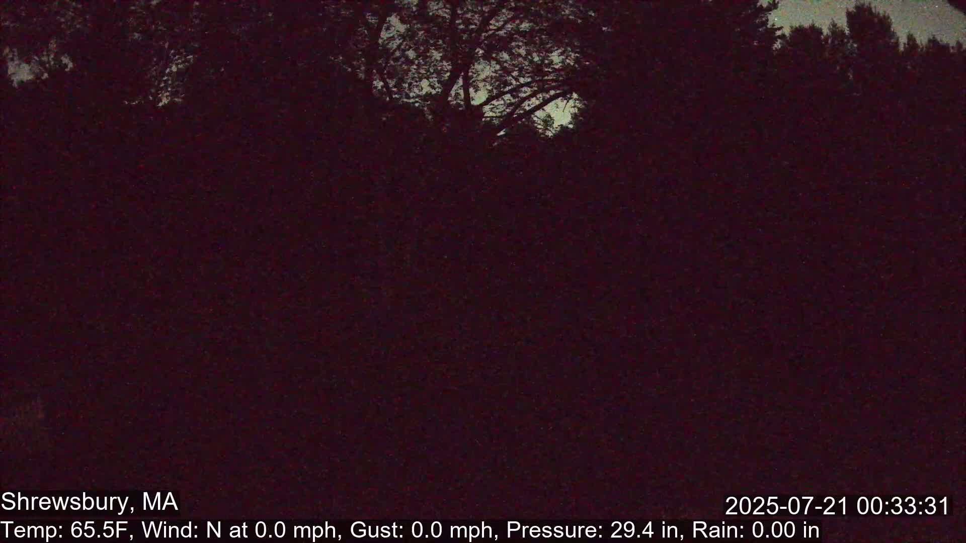 Scenic Pond and Trees Live Cam - Shrewsbury, Massachusetts , USA