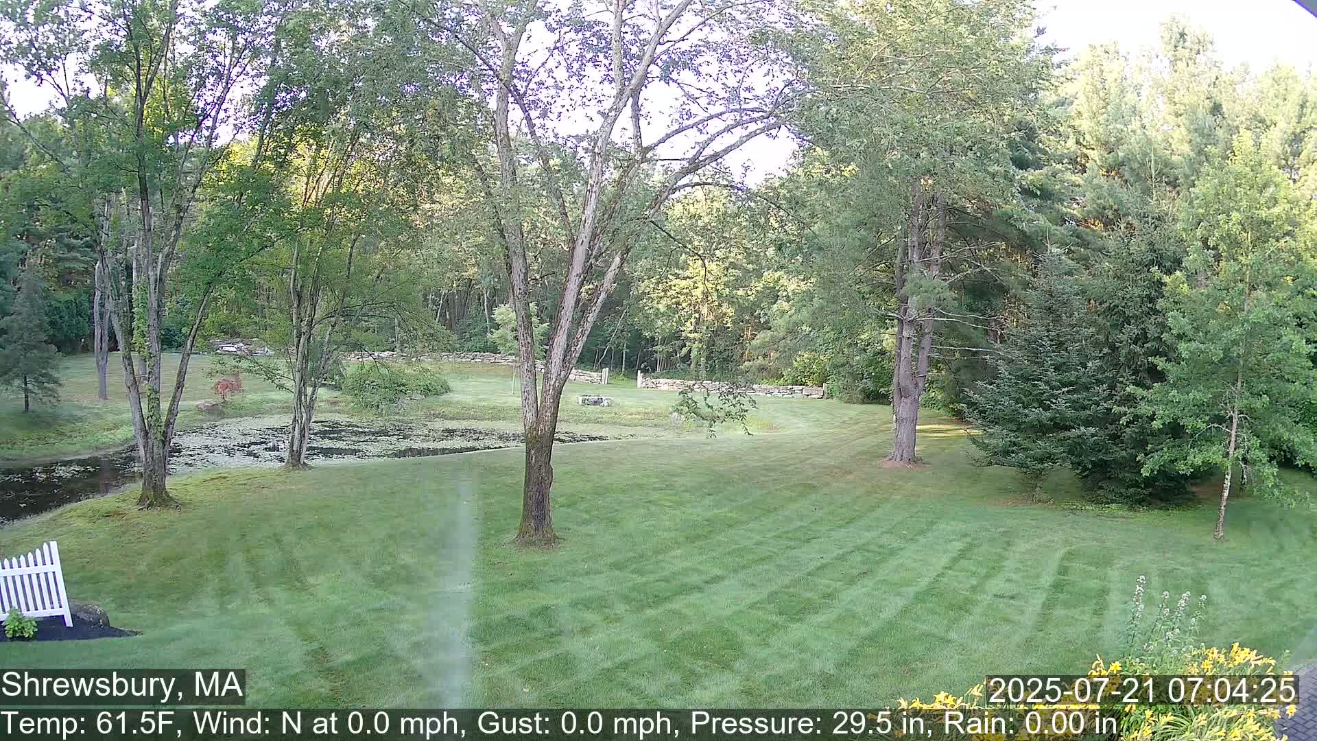 Scenic Pond and Trees Live Cam - Shrewsbury, Massachusetts , USA
