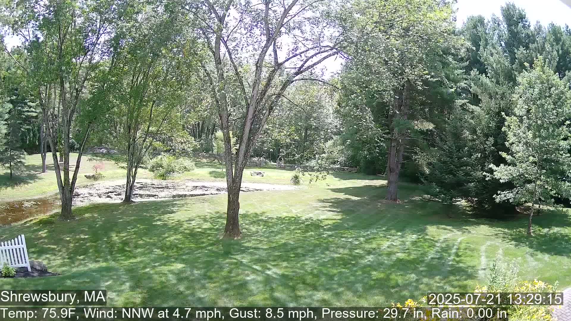 Scenic Pond and Trees Live Cam - Shrewsbury, Massachusetts , USA