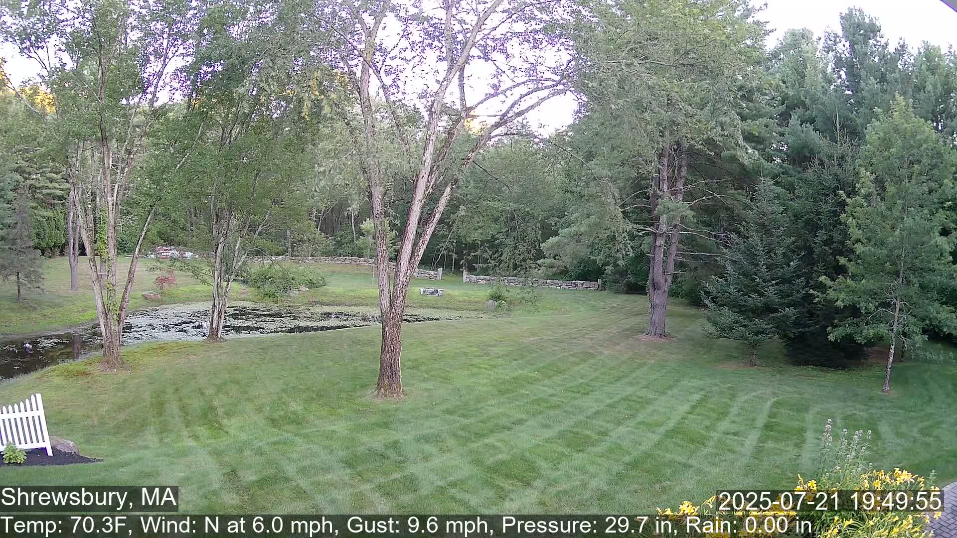 Scenic Pond and Trees Live Cam - Shrewsbury, Massachusetts , USA