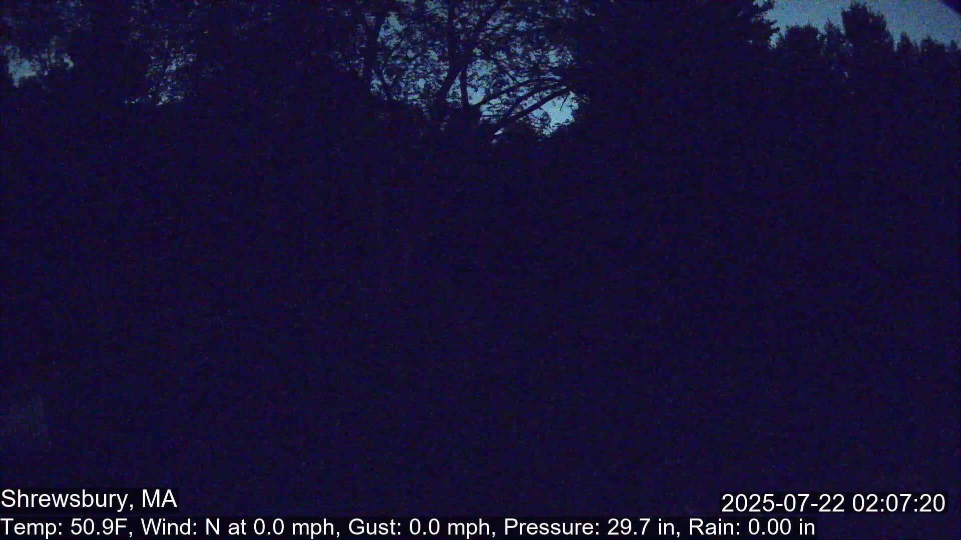 Scenic Pond and Trees Live Cam - Shrewsbury, Massachusetts , USA