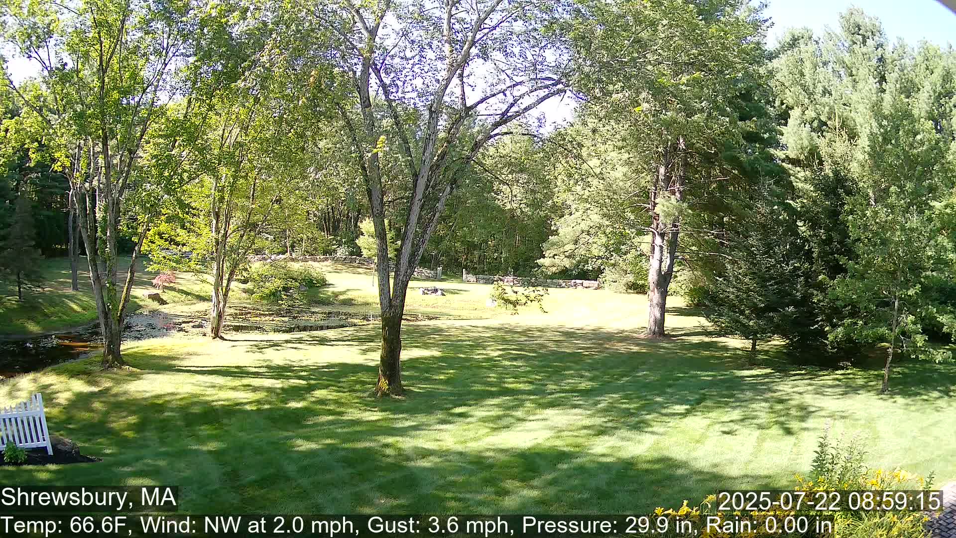 Scenic Pond and Trees Live Cam - Shrewsbury, Massachusetts , USA