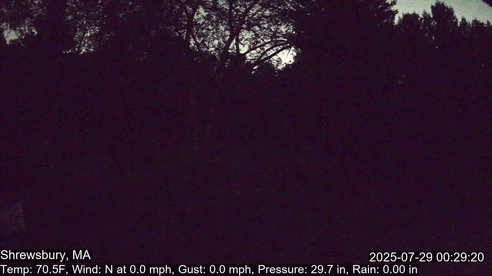 Scenic Pond and Trees Live Cam - Shrewsbury, Massachusetts , USA