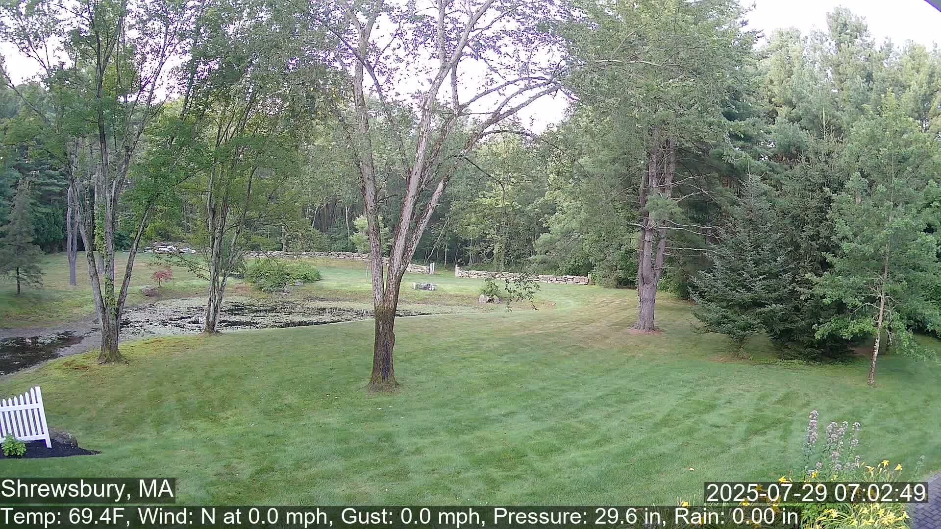 Scenic Pond and Trees Live Cam - Shrewsbury, Massachusetts , USA