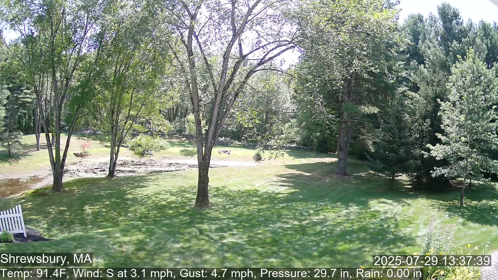 Scenic Pond and Trees Live Cam - Shrewsbury, Massachusetts , USA