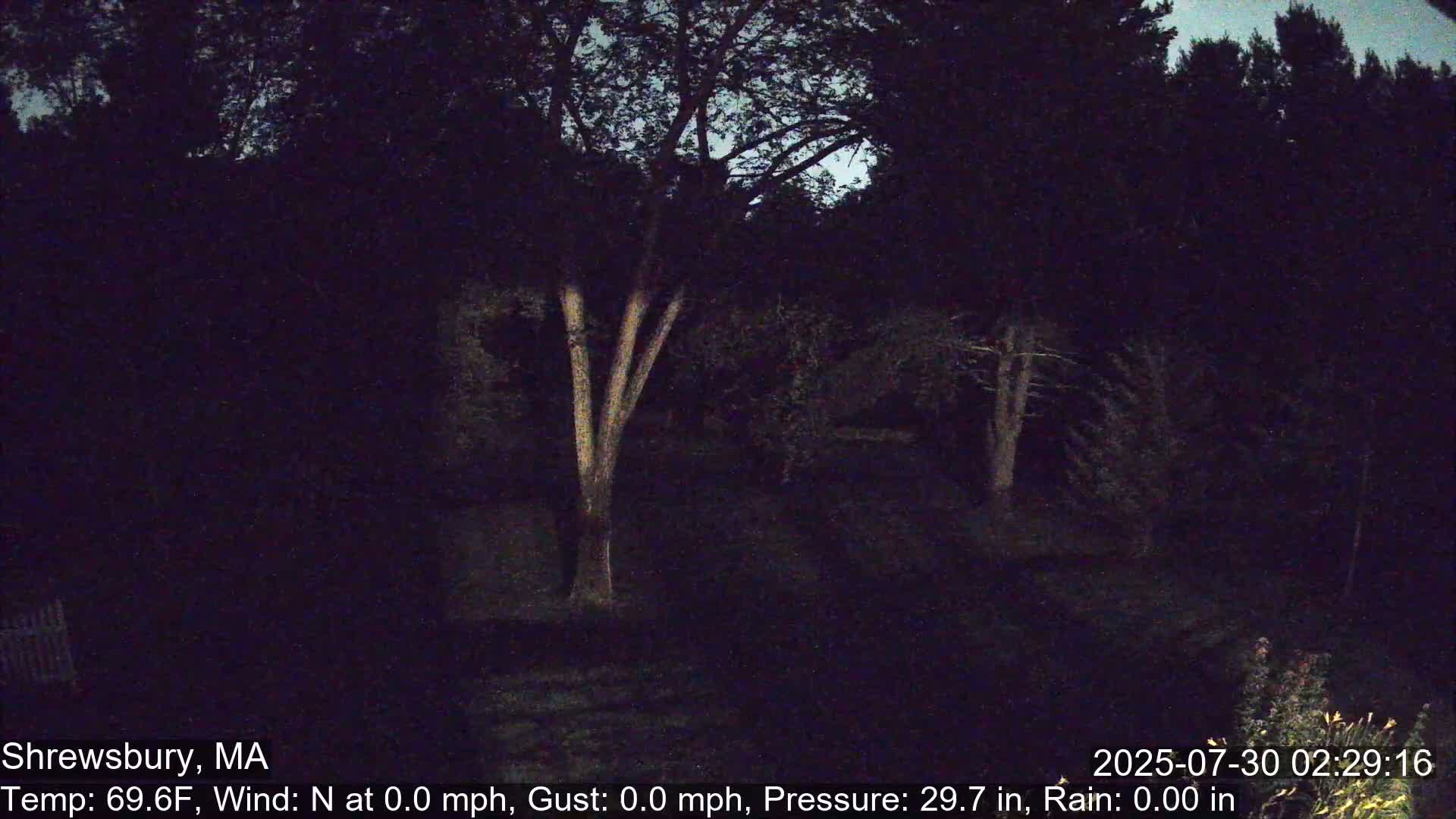 Scenic Pond and Trees Live Cam - Shrewsbury, Massachusetts , USA