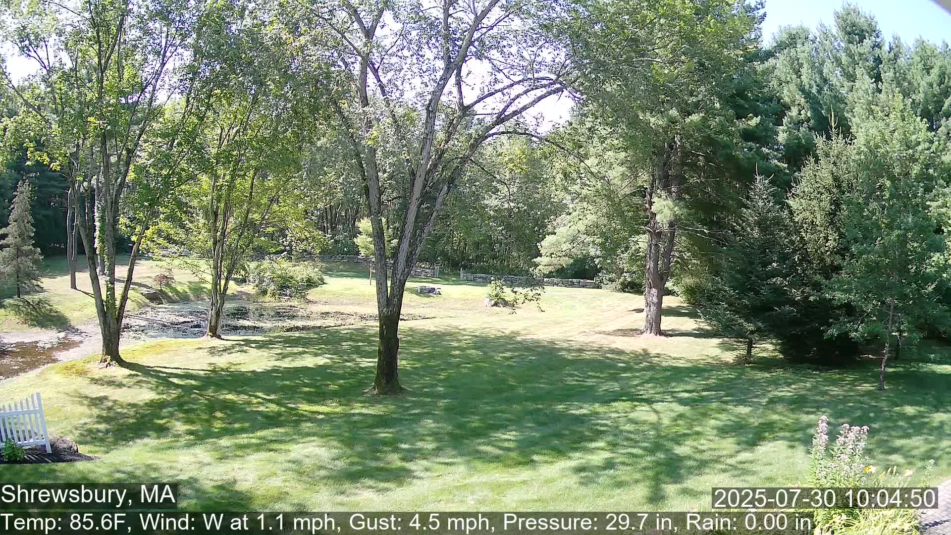 Scenic Pond and Trees Live Cam - Shrewsbury, Massachusetts , USA