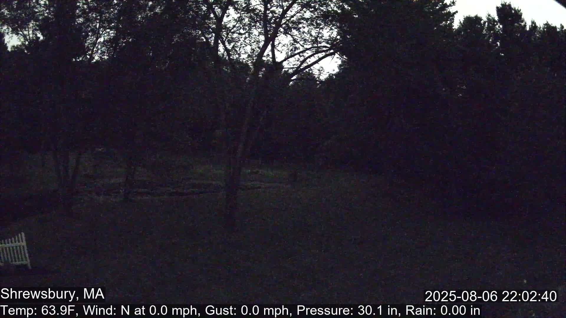 Scenic Pond and Trees Live Cam - Shrewsbury, Massachusetts , USA