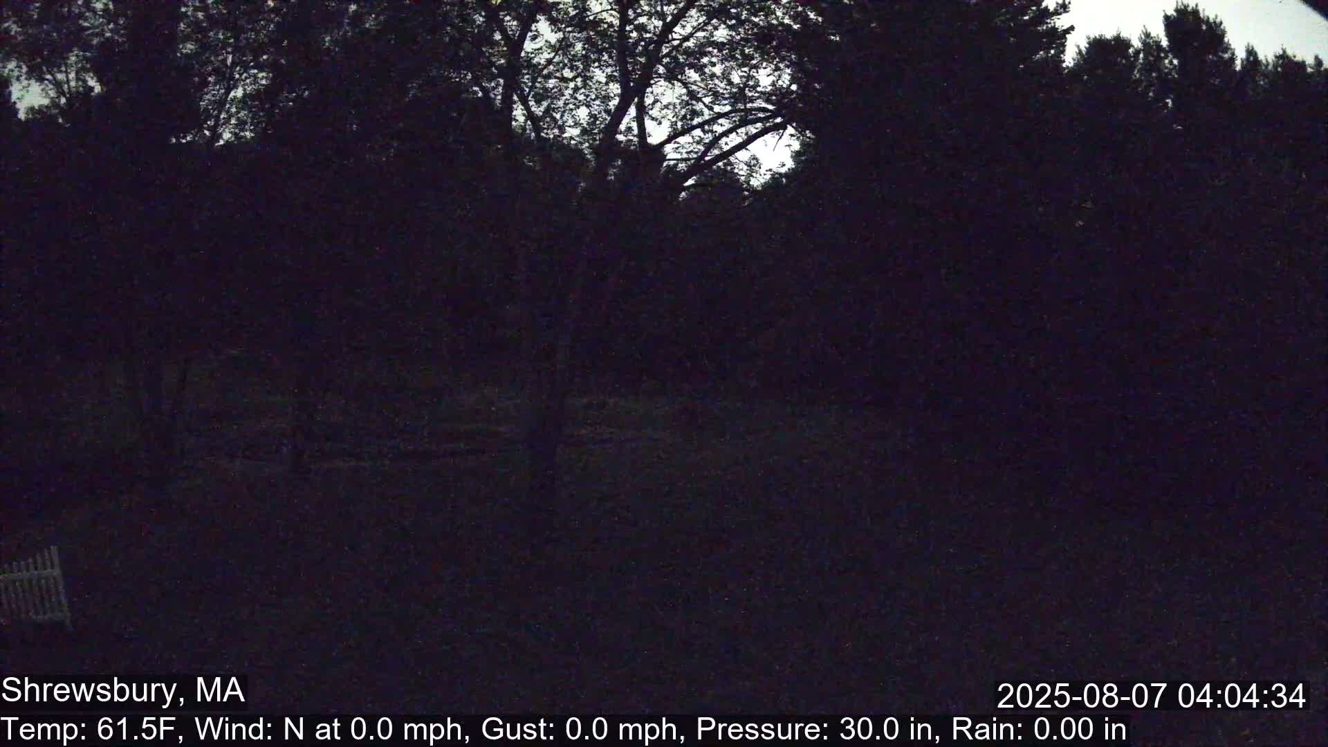 Scenic Pond and Trees Live Cam - Shrewsbury, Massachusetts , USA