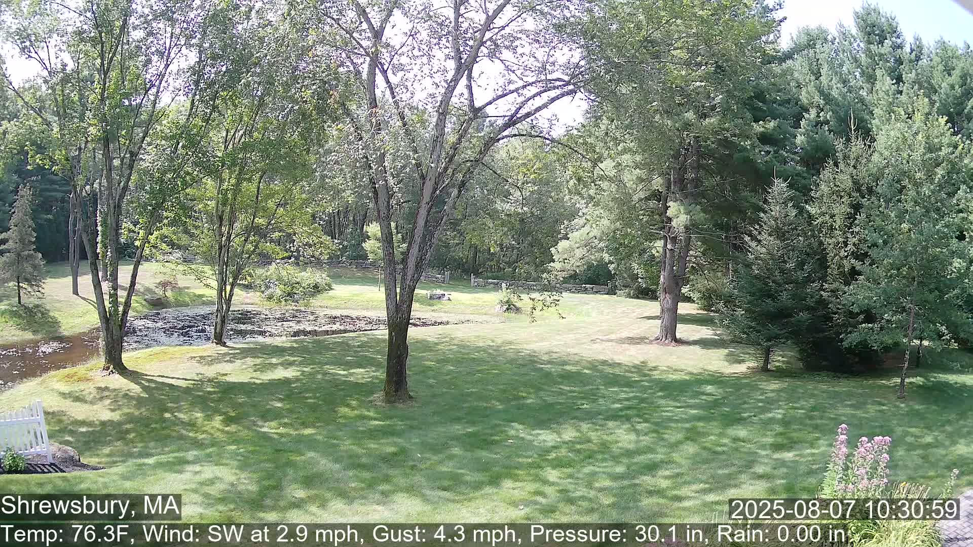 Scenic Pond and Trees Live Cam - Shrewsbury, Massachusetts , USA