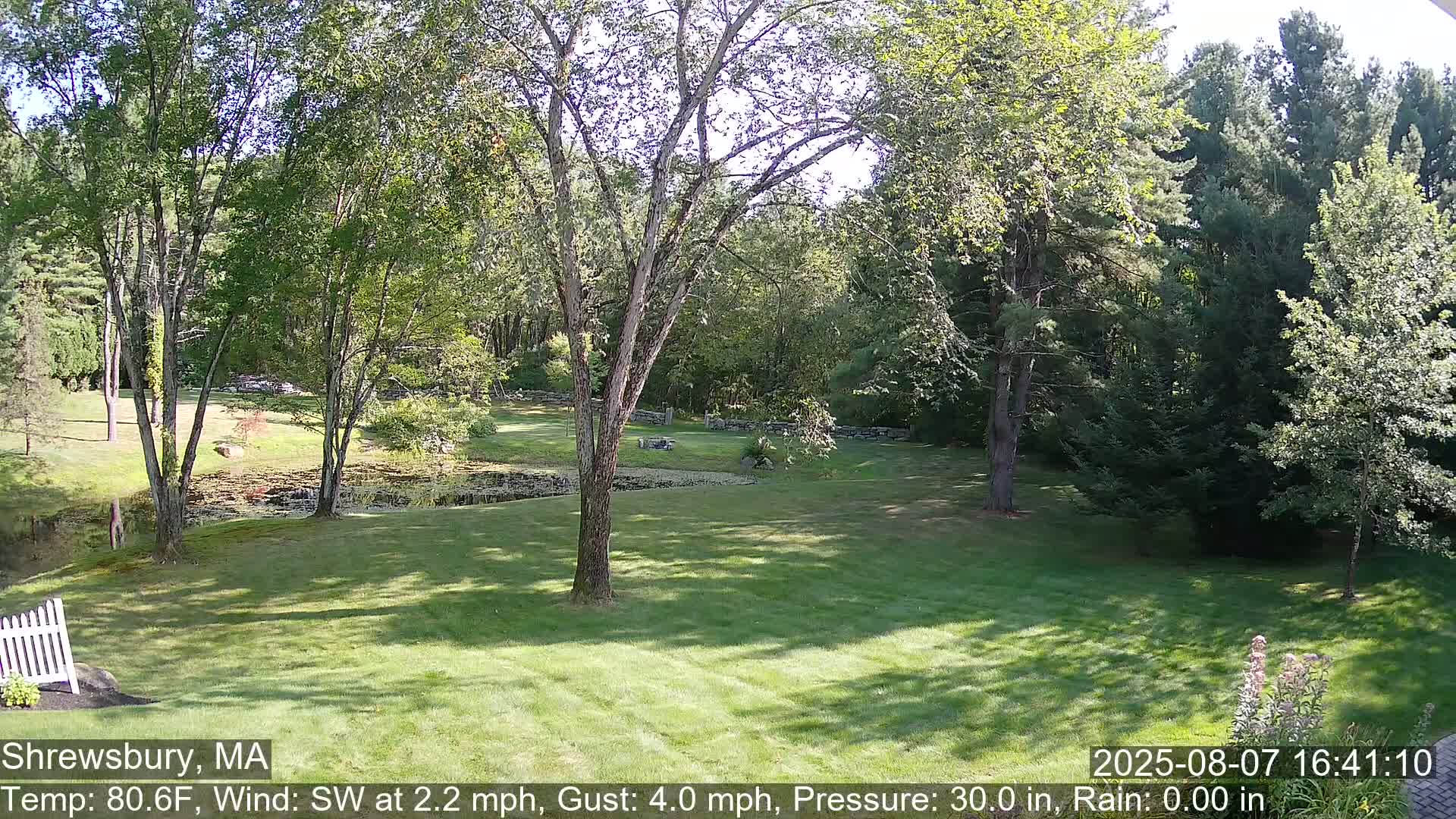 Scenic Pond and Trees Live Cam - Shrewsbury, Massachusetts , USA