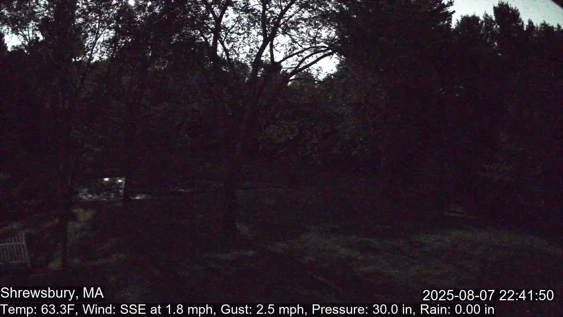 Scenic Pond and Trees Live Cam - Shrewsbury, Massachusetts , USA