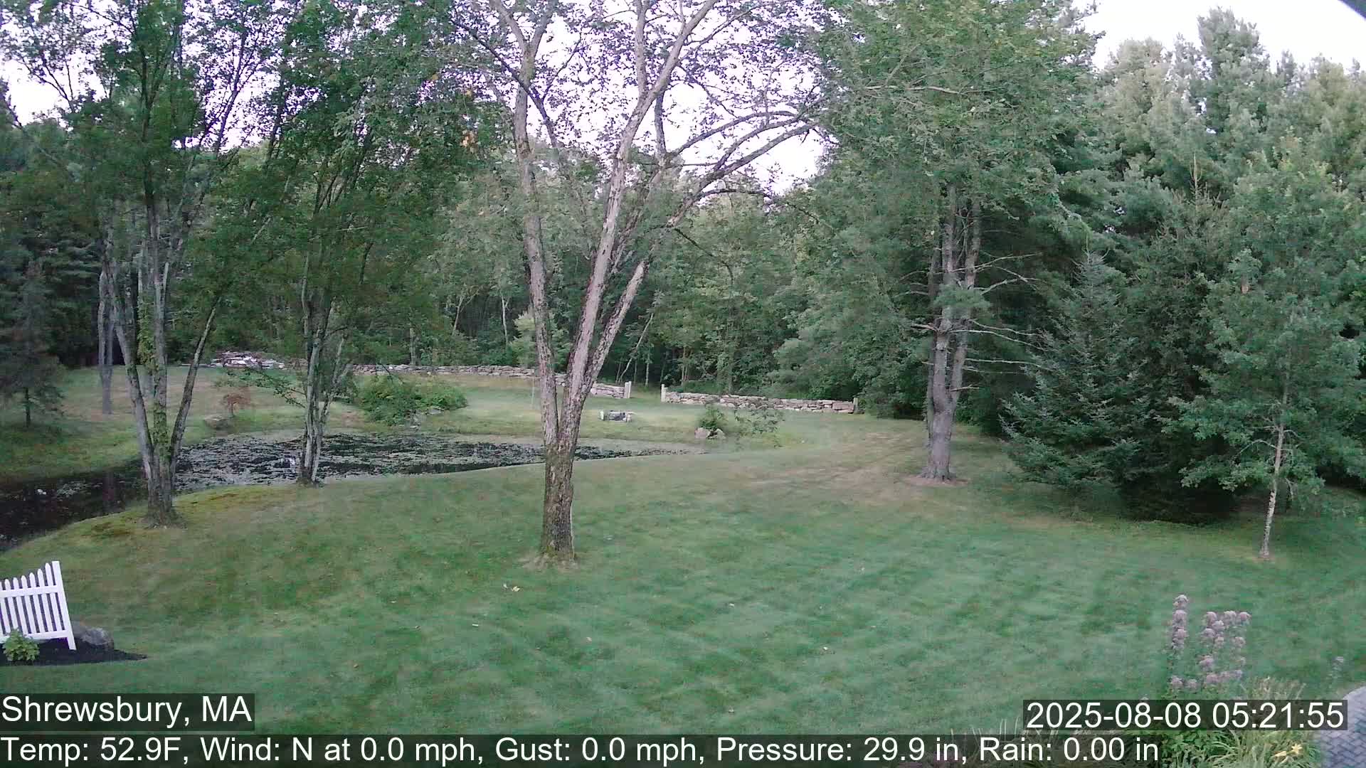 Scenic Pond and Trees Live Cam - Shrewsbury, Massachusetts , USA