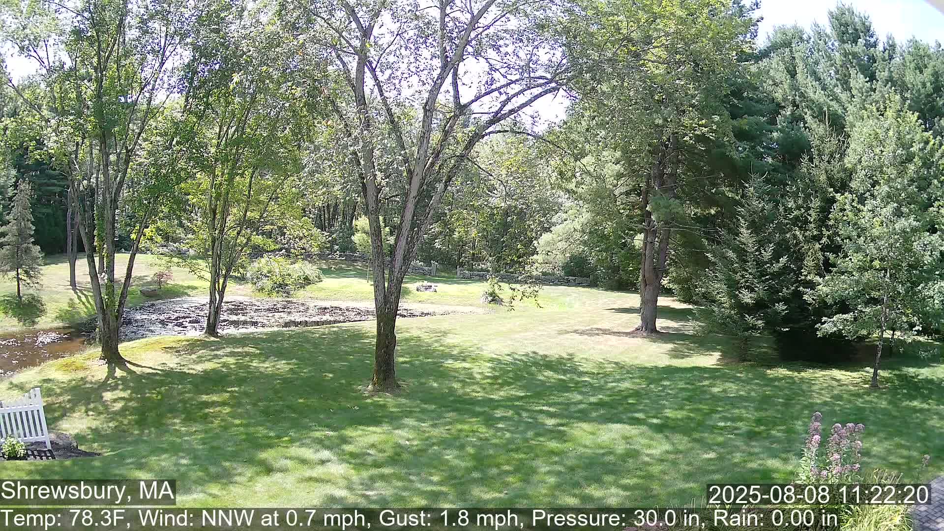 Scenic Pond and Trees Live Cam - Shrewsbury, Massachusetts , USA