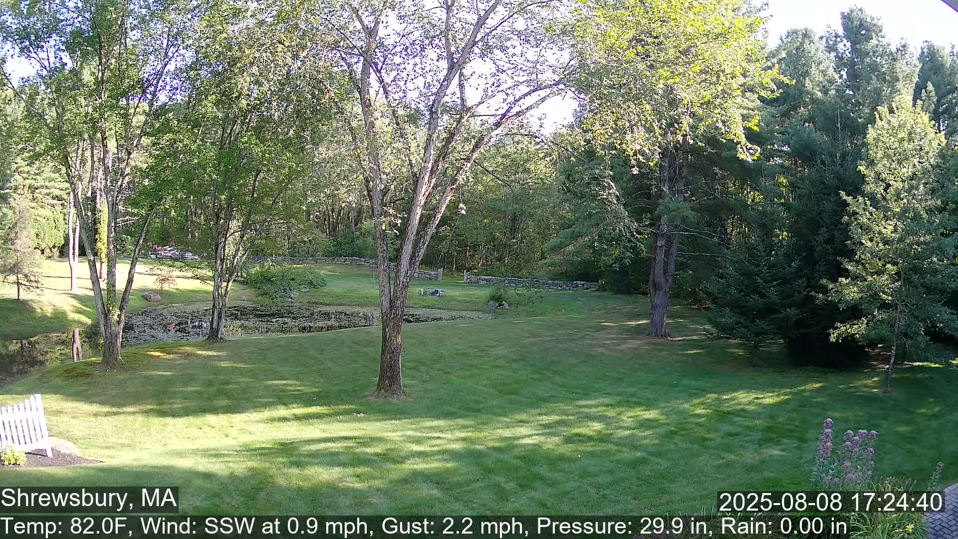 Scenic Pond and Trees Live Cam - Shrewsbury, Massachusetts , USA