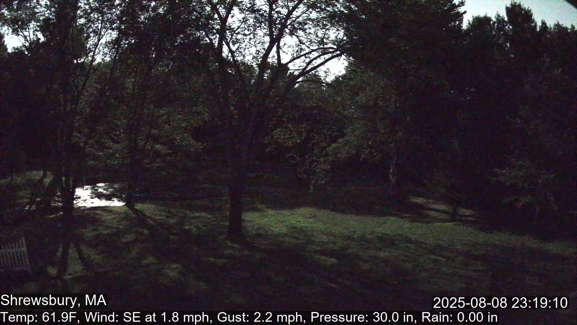 Scenic Pond and Trees Live Cam - Shrewsbury, Massachusetts , USA
