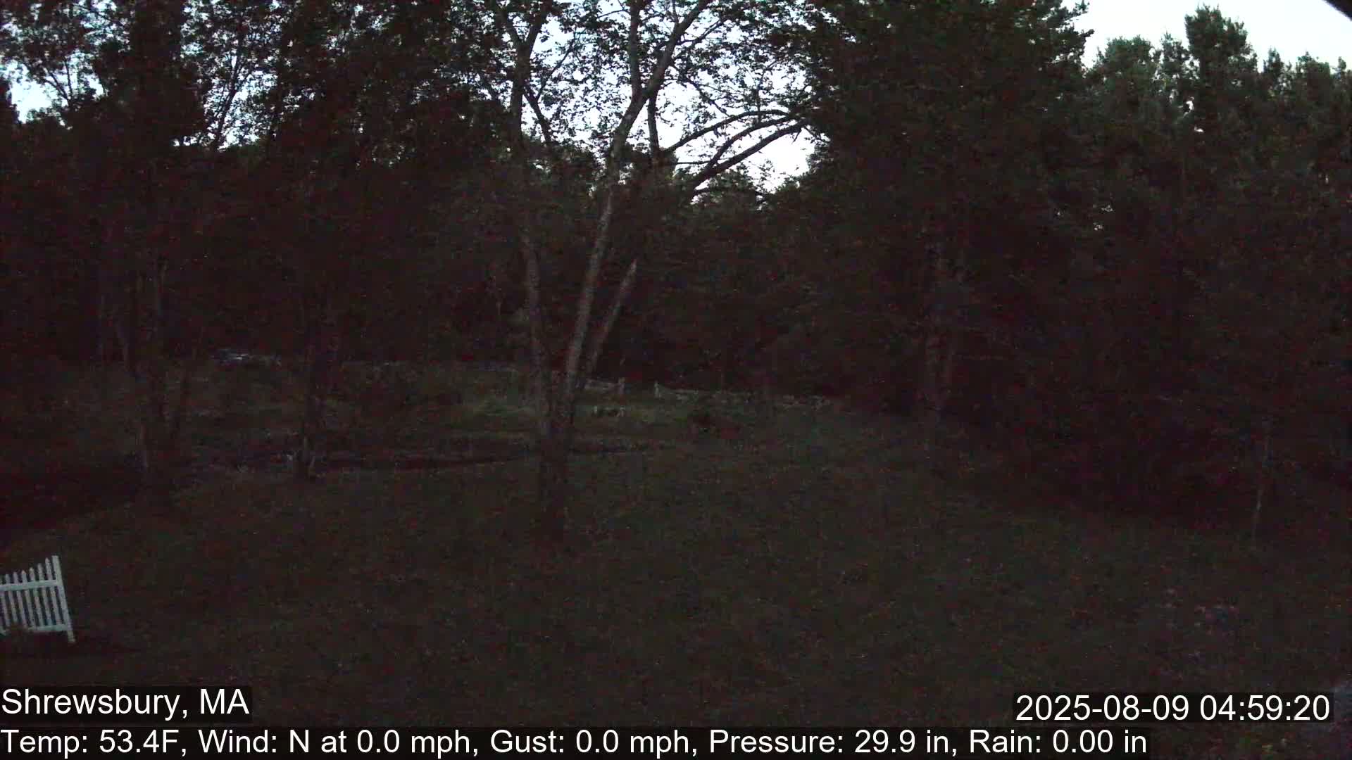 Scenic Pond and Trees Live Cam - Shrewsbury, Massachusetts , USA