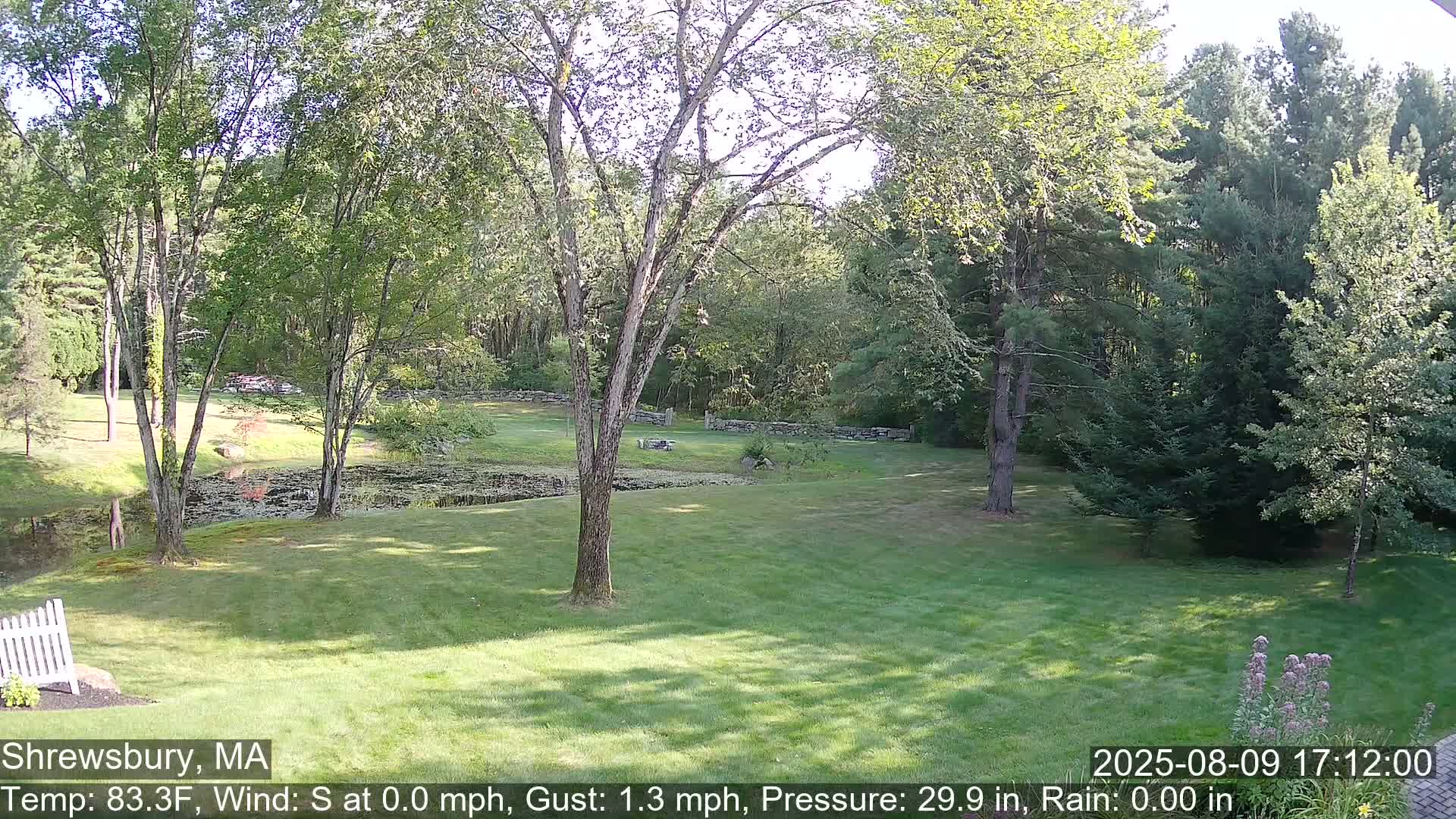 Scenic Pond and Trees Live Cam - Shrewsbury, Massachusetts , USA