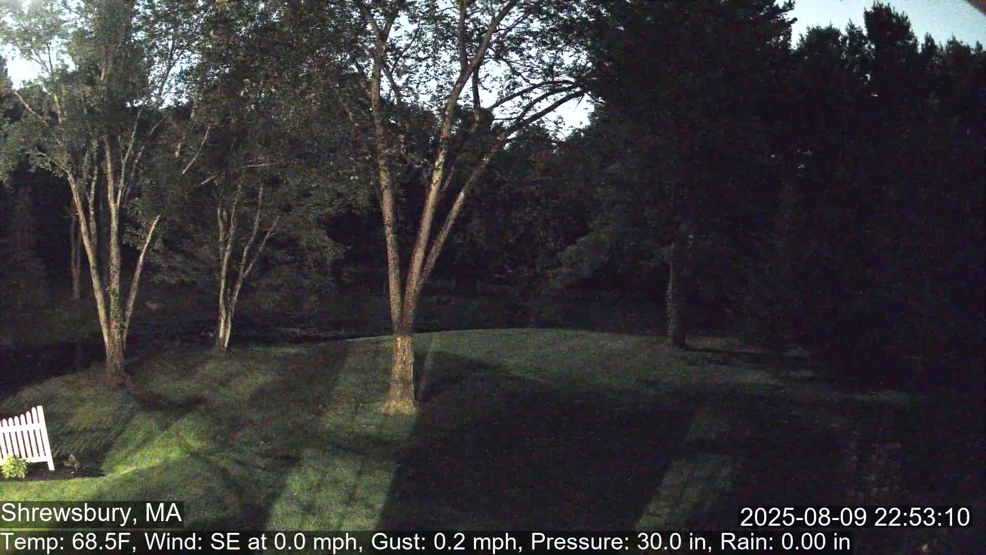 Scenic Pond and Trees Live Cam - Shrewsbury, Massachusetts , USA