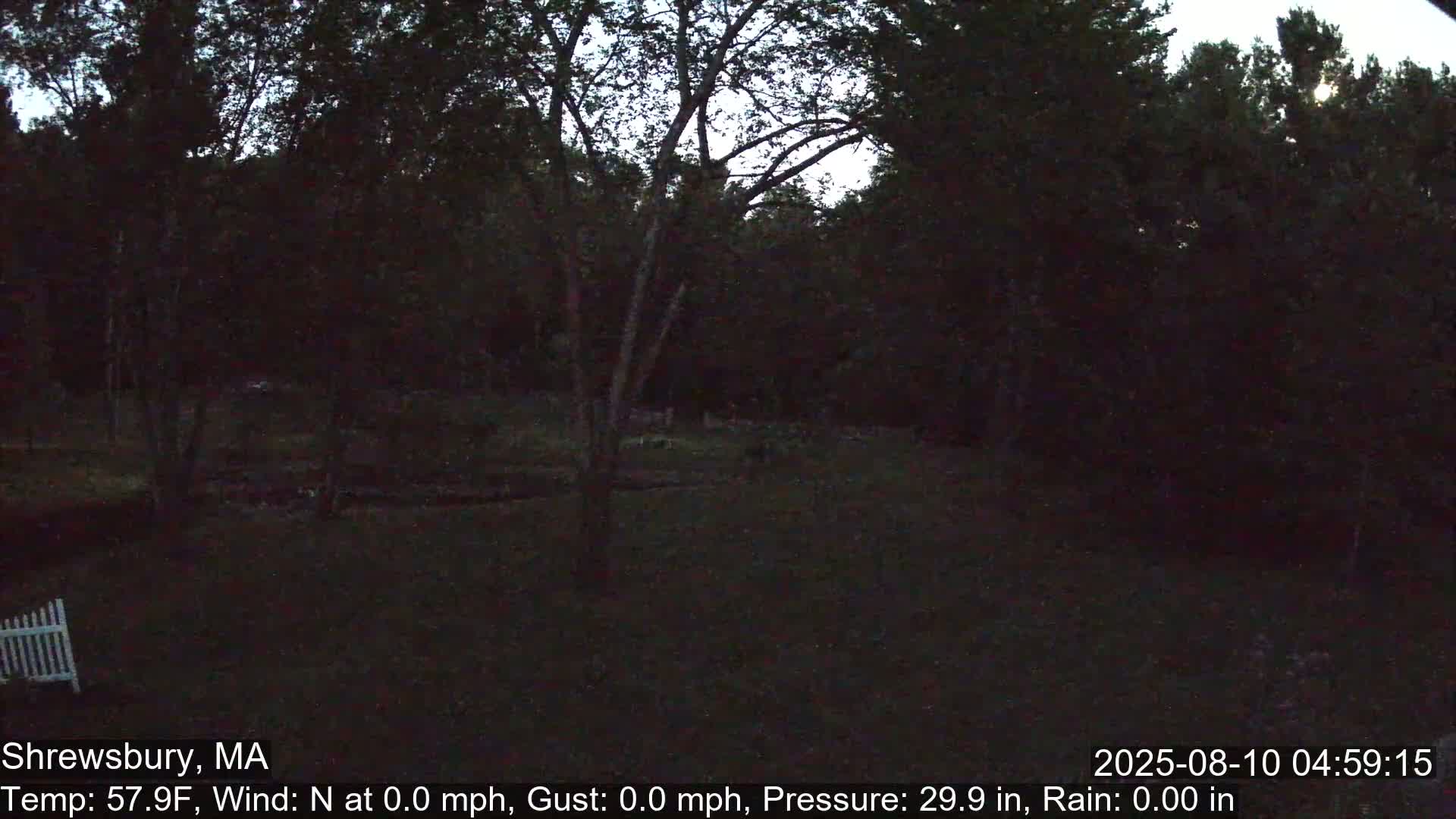 Scenic Pond and Trees Live Cam - Shrewsbury, Massachusetts , USA