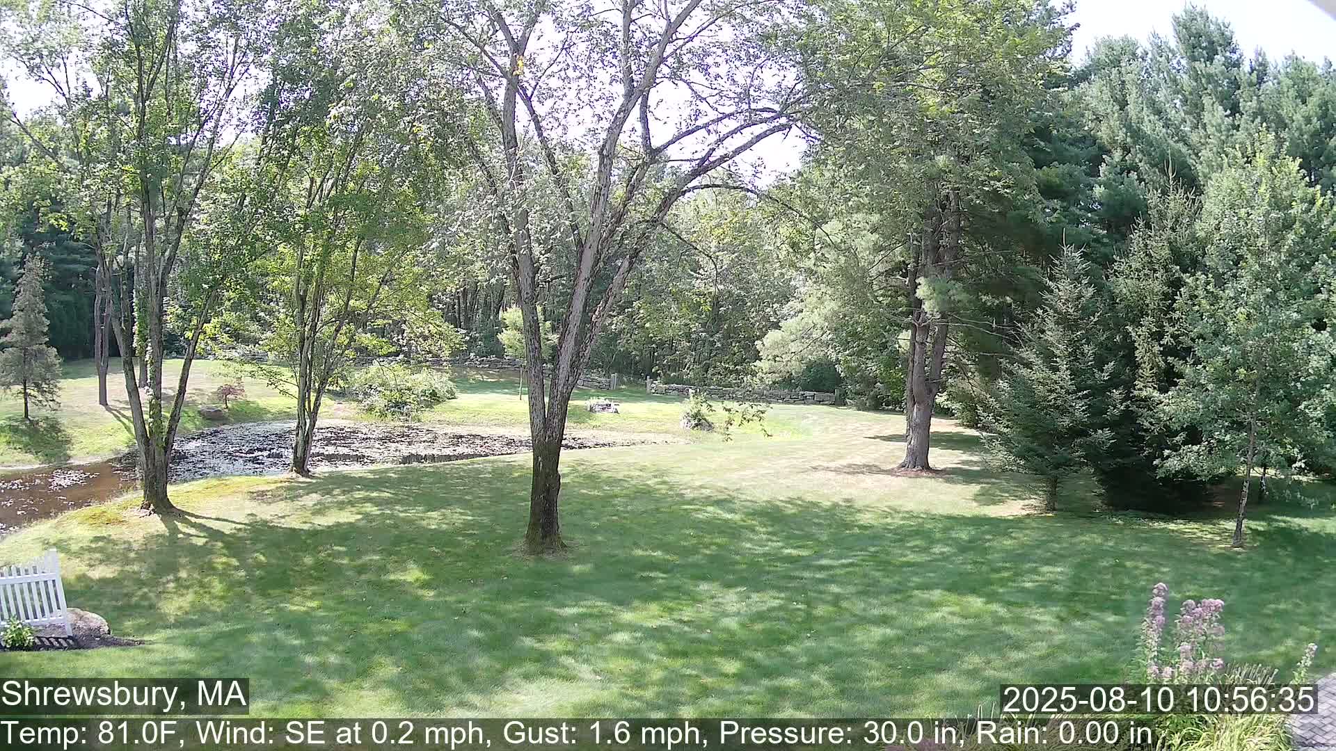 Scenic Pond and Trees Live Cam - Shrewsbury, Massachusetts , USA