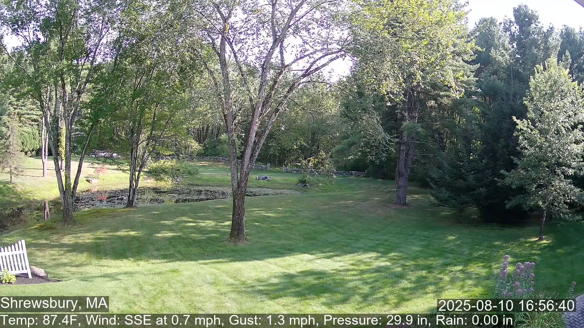 Scenic Pond and Trees Live Cam - Shrewsbury, Massachusetts , USA