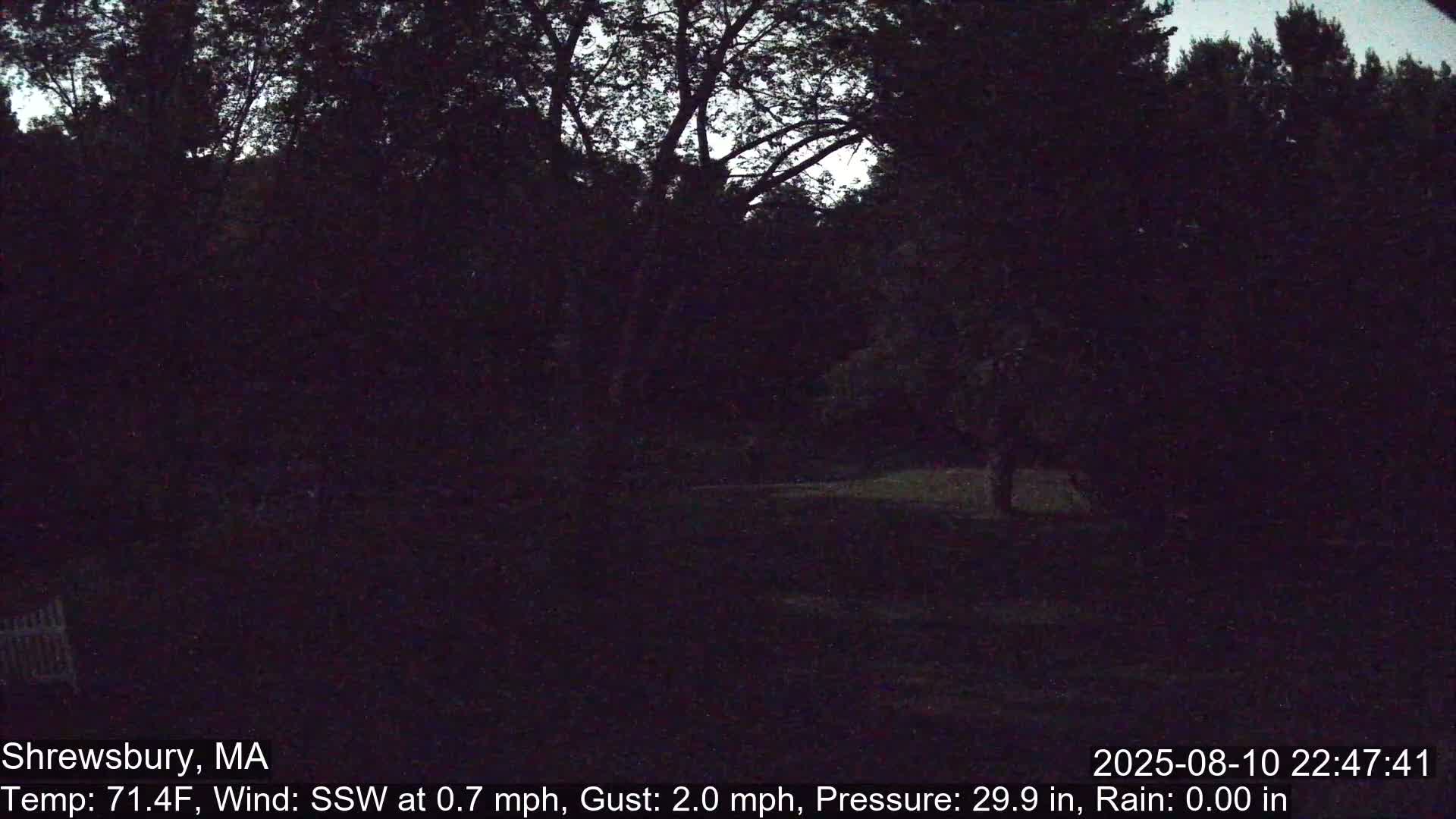 Scenic Pond and Trees Live Cam - Shrewsbury, Massachusetts , USA