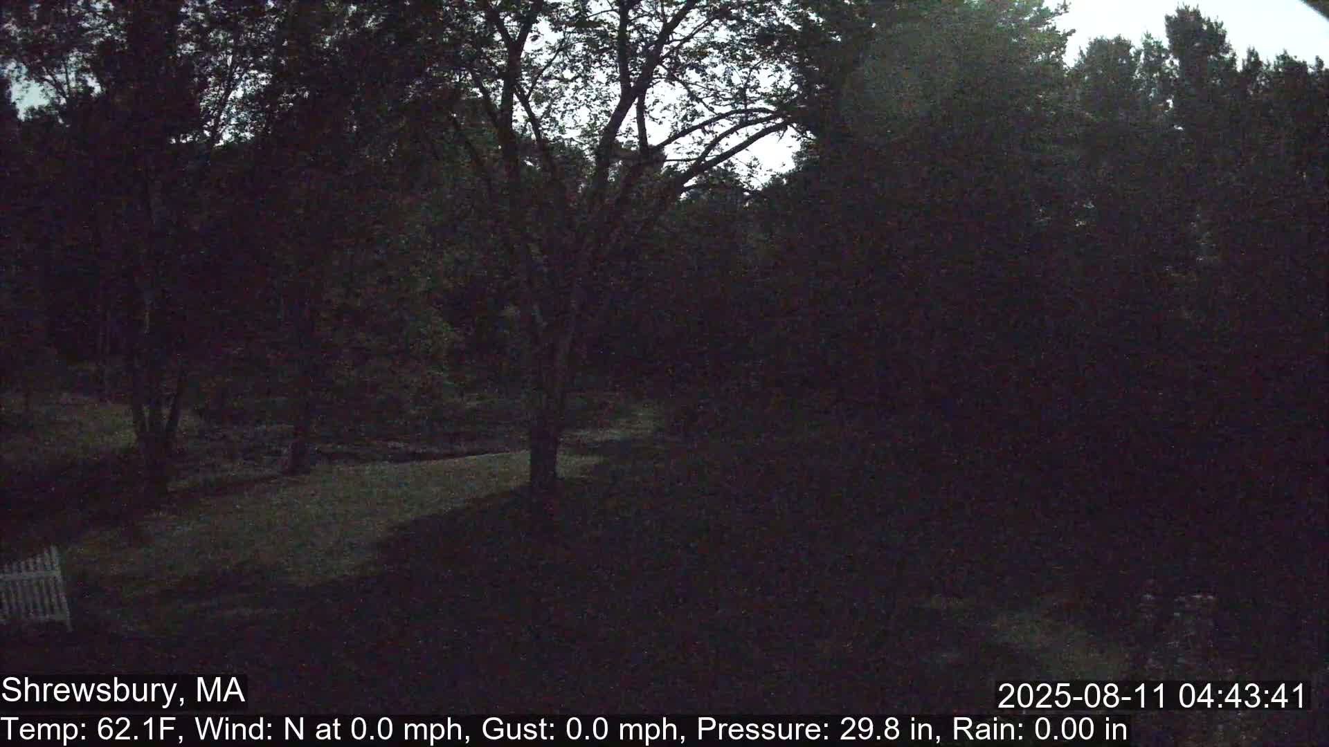 Scenic Pond and Trees Live Cam - Shrewsbury, Massachusetts , USA