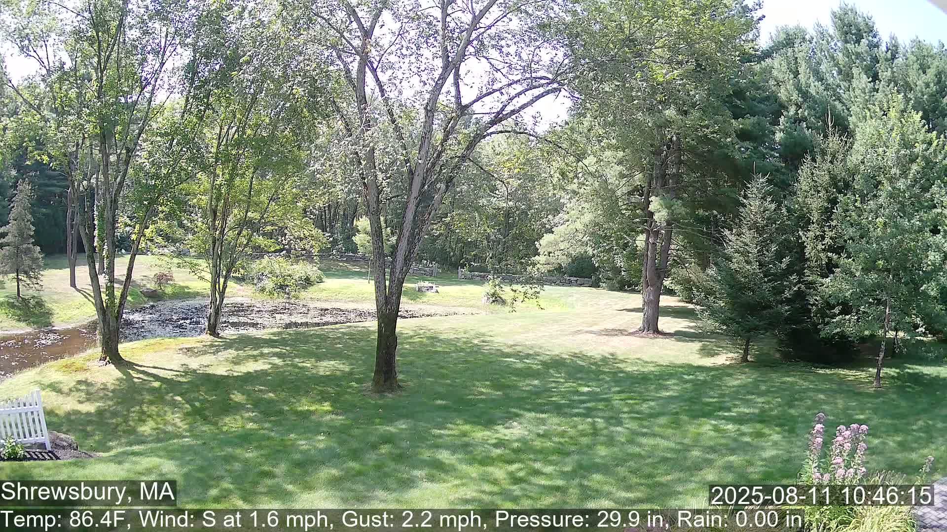 Scenic Pond and Trees Live Cam - Shrewsbury, Massachusetts , USA