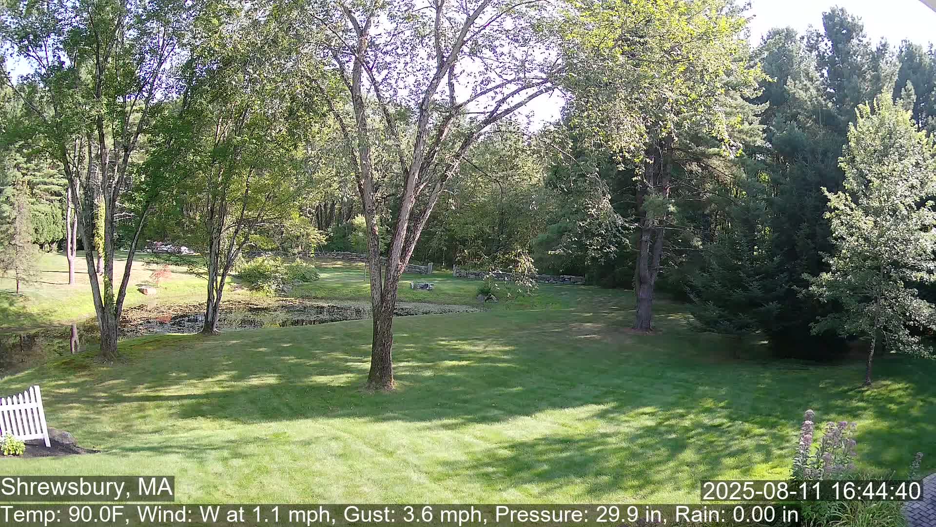 Scenic Pond and Trees Live Cam - Shrewsbury, Massachusetts , USA