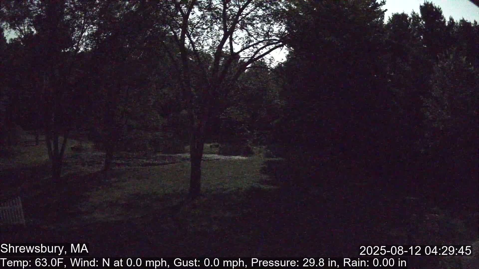 Scenic Pond and Trees Live Cam - Shrewsbury, Massachusetts , USA