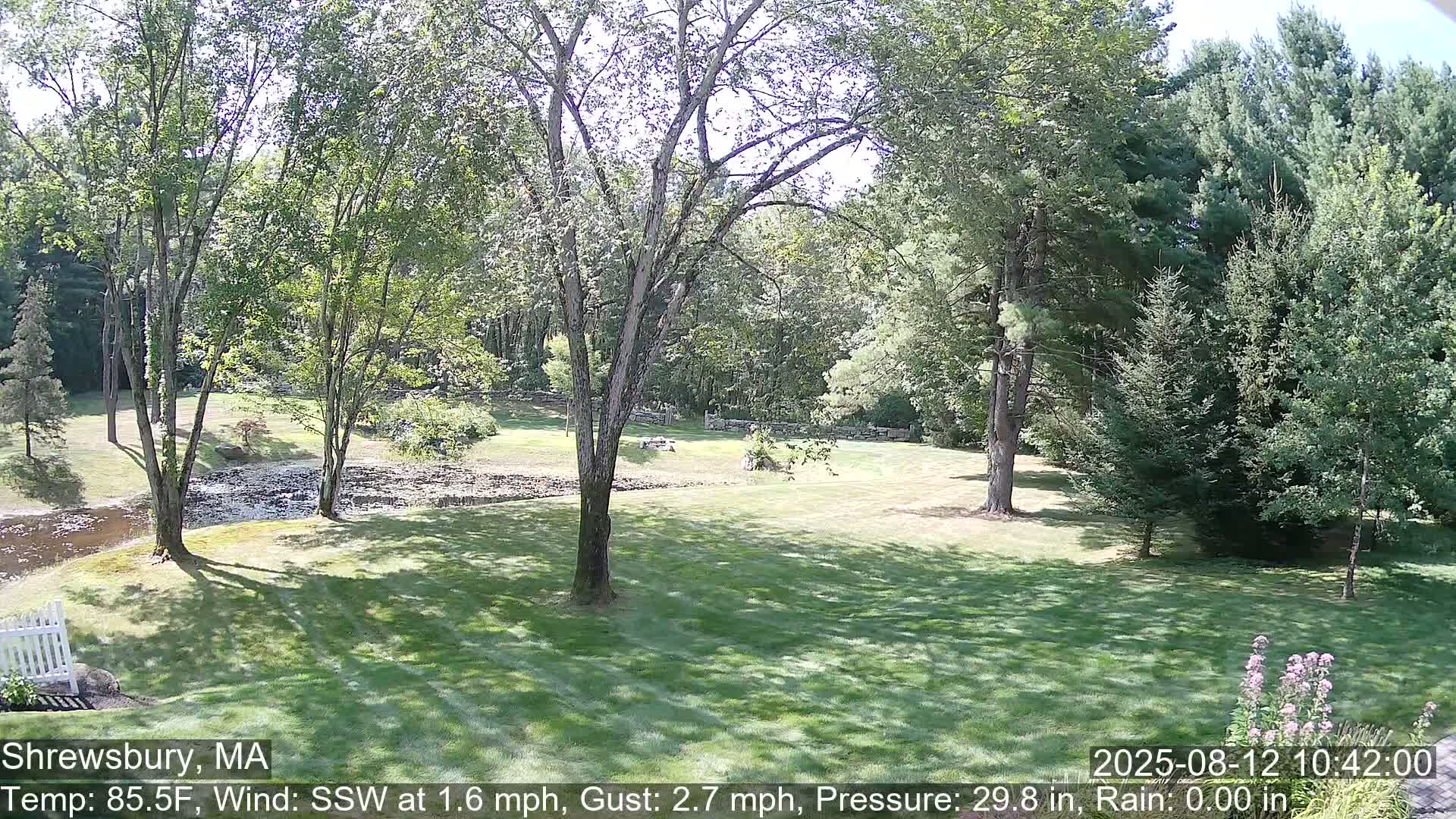 Scenic Pond and Trees Live Cam - Shrewsbury, Massachusetts , USA