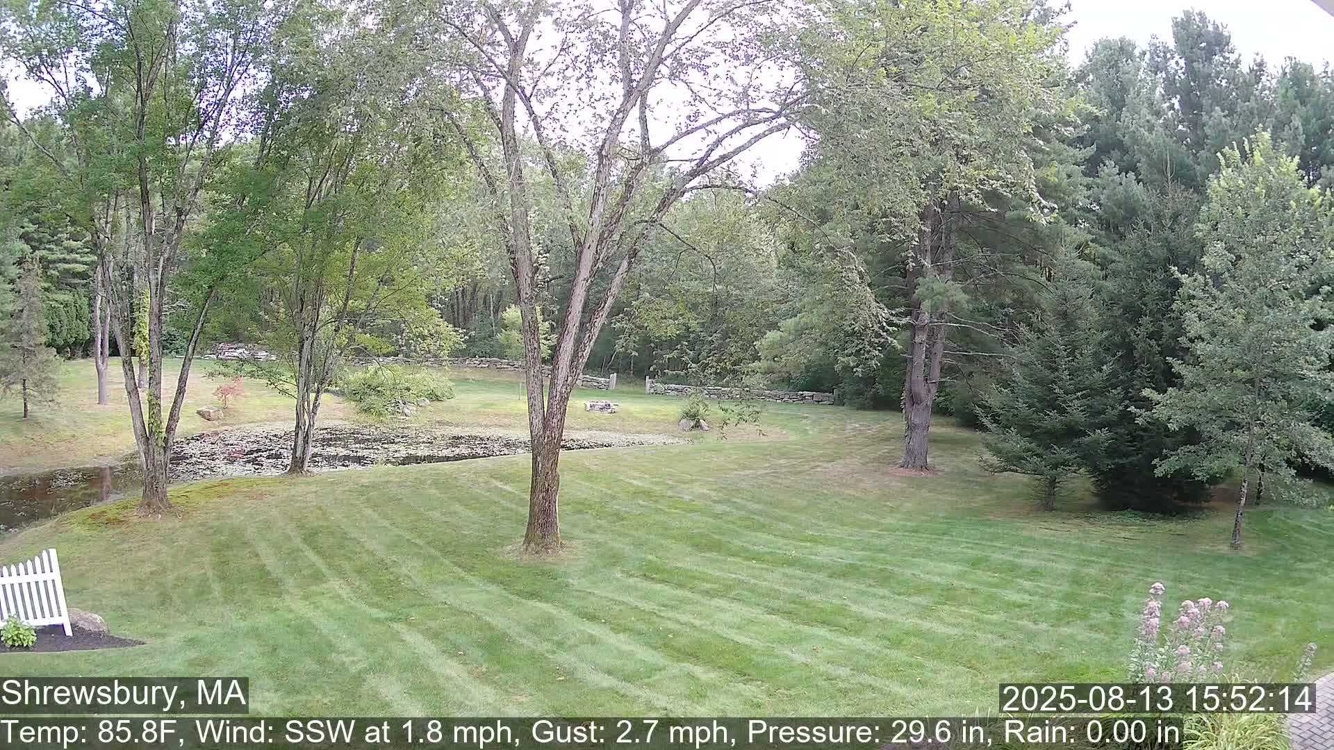 Scenic Pond and Trees Live Cam - Shrewsbury, Massachusetts , USA