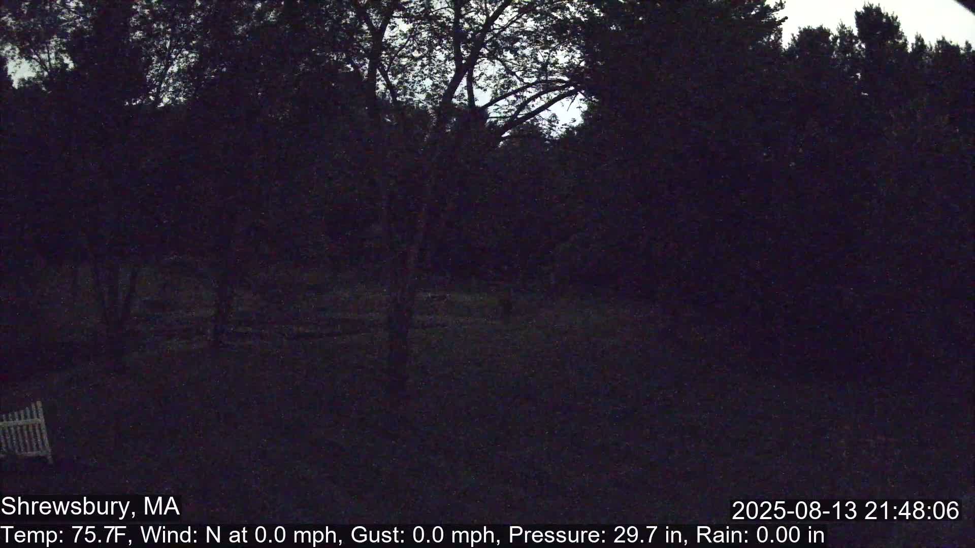Scenic Pond and Trees Live Cam - Shrewsbury, Massachusetts , USA