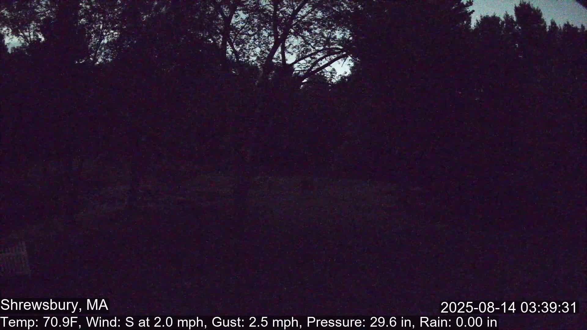A dark, nighttime view of trees under a mostly clear sky with a light south wind.