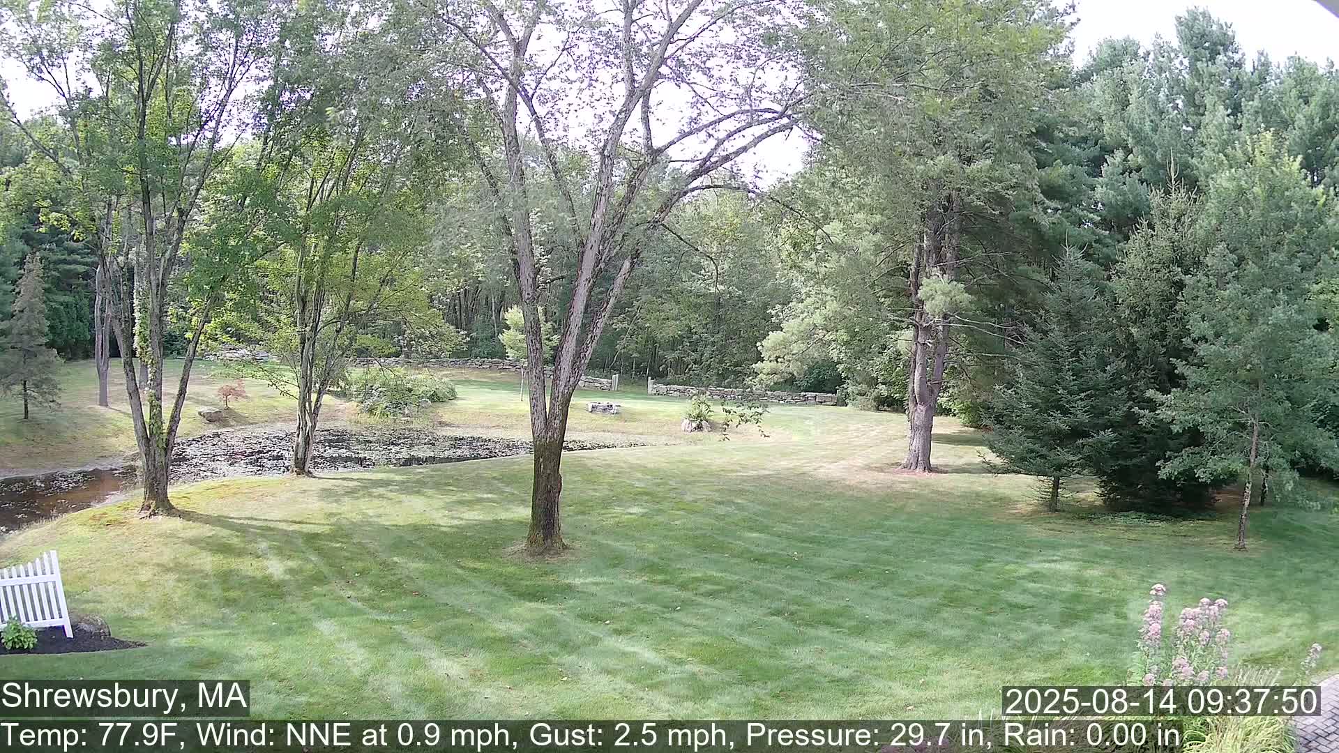 Scenic Pond and Trees Live Cam - Shrewsbury, Massachusetts , USA