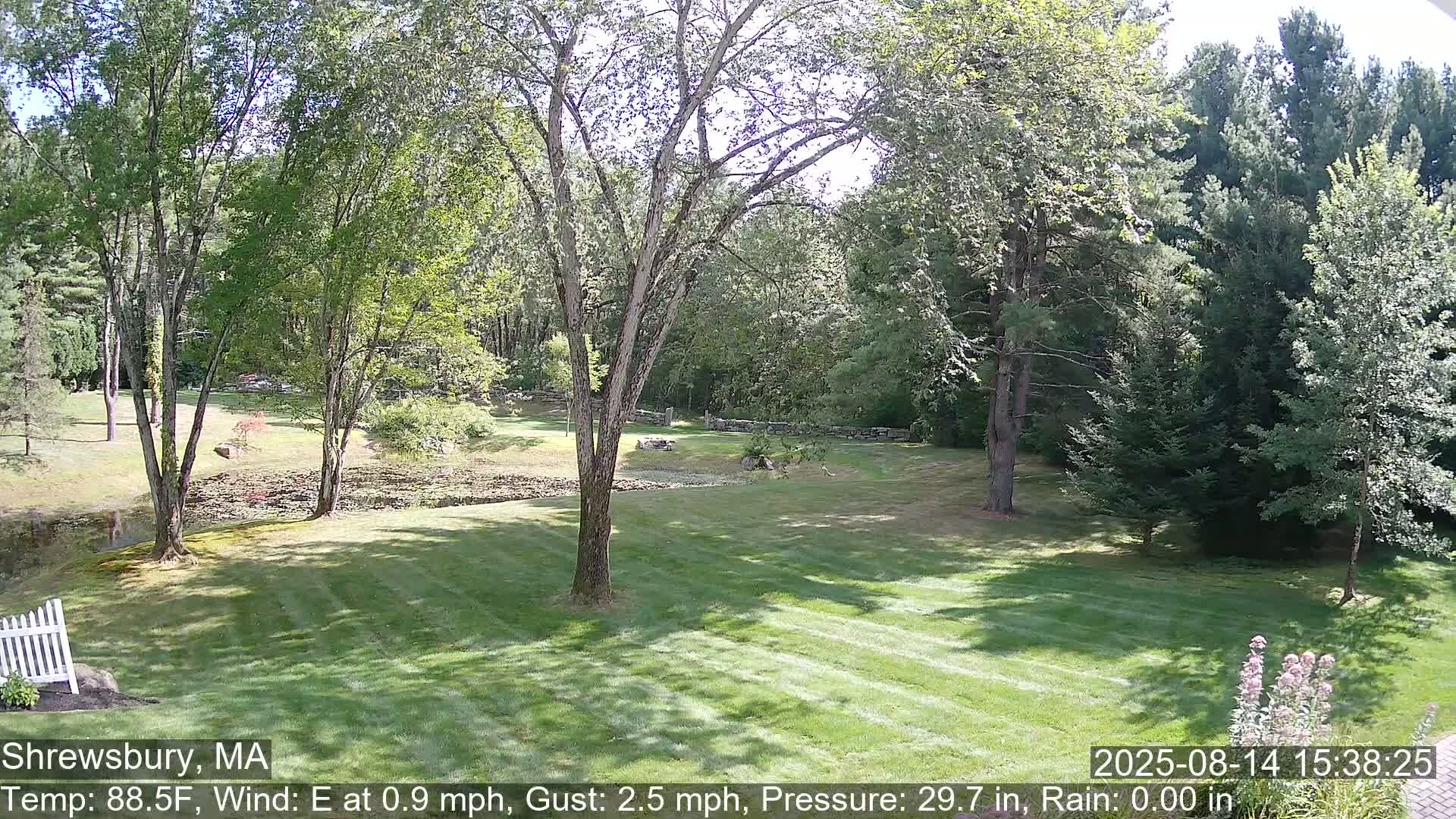 Scenic Pond and Trees Live Cam - Shrewsbury, Massachusetts , USA
