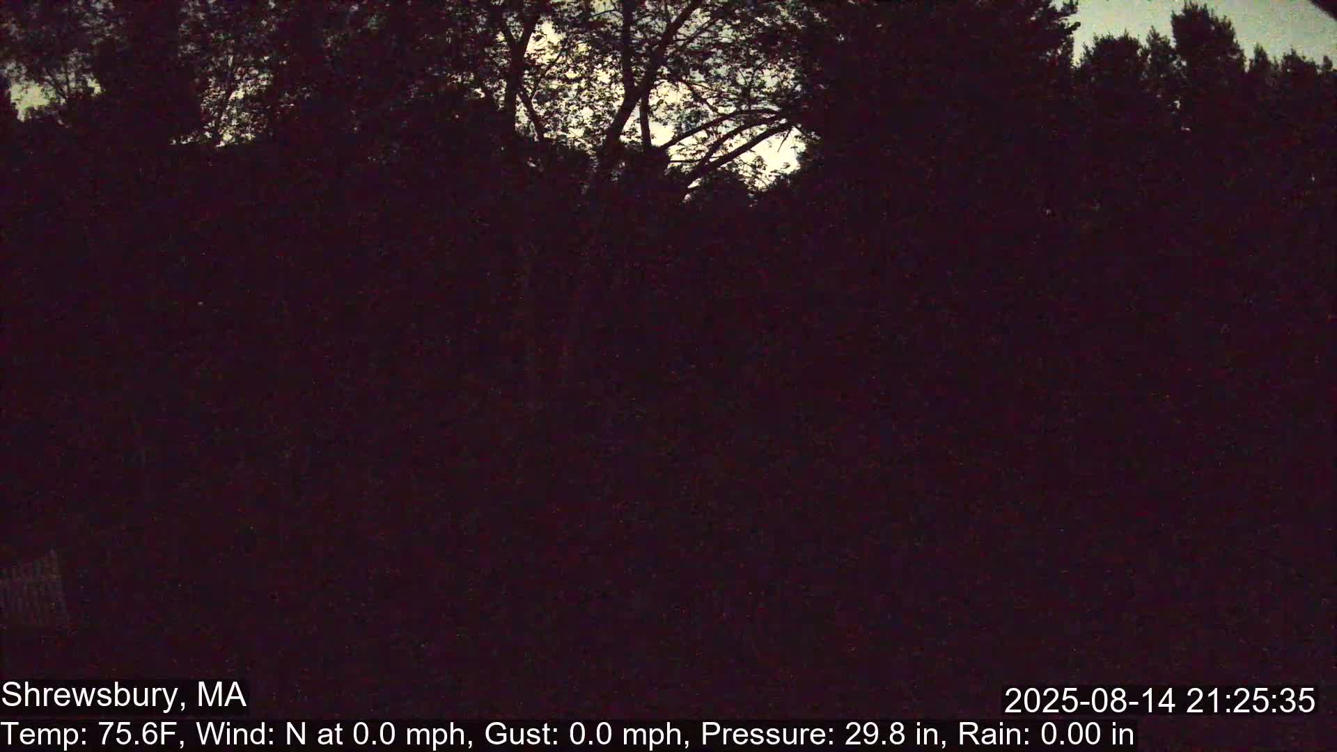 Scenic Pond and Trees Live Cam - Shrewsbury, Massachusetts , USA