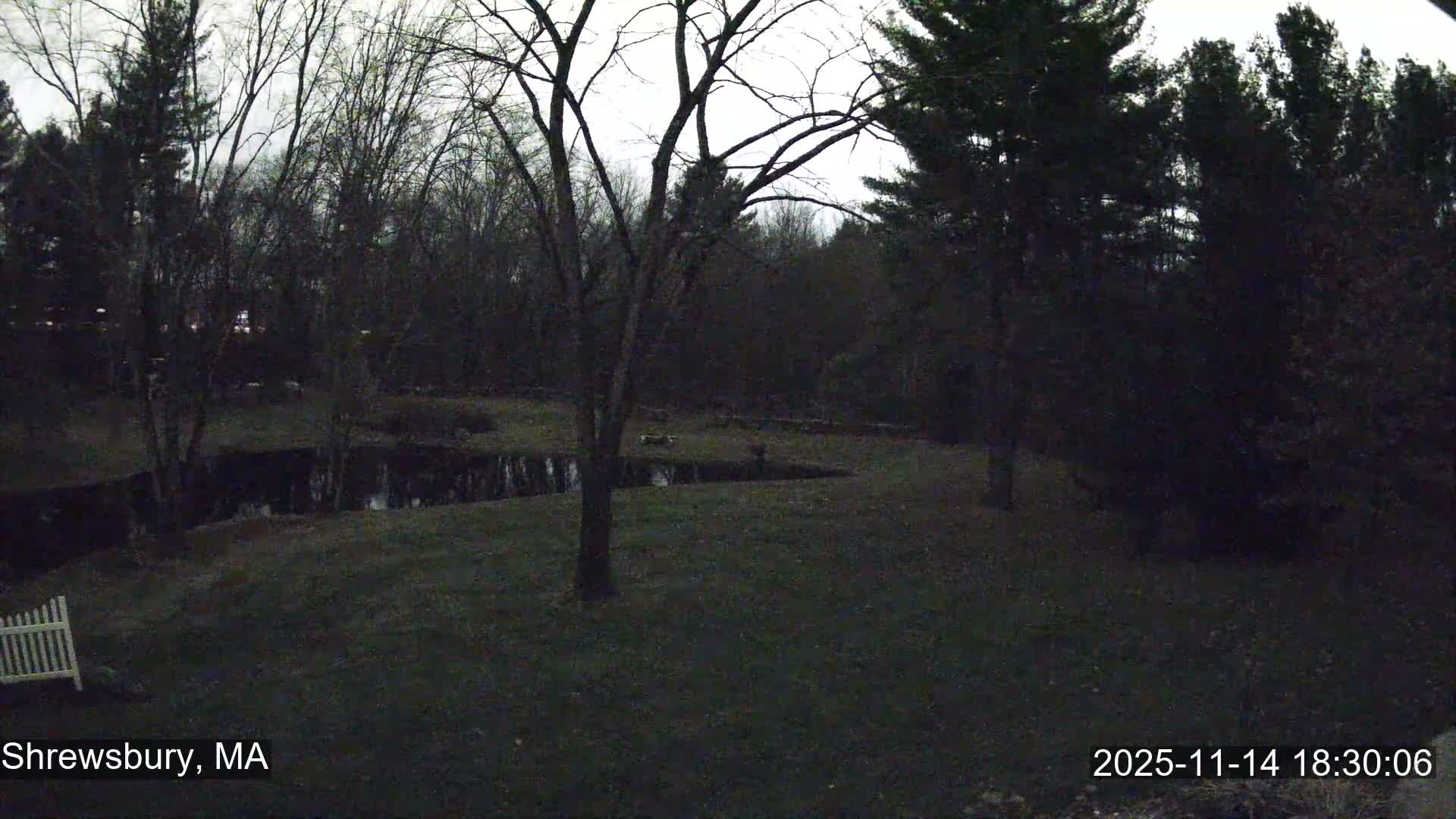 Under a cloudy evening sky, a dim outdoor scene reveals a grassy yard with a small pond, surrounded by numerous deciduous and evergreen trees, and a white picket fence section in the foreground.