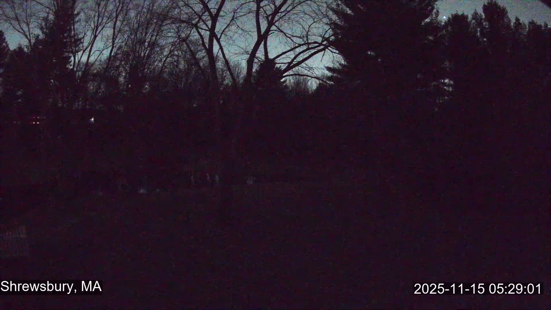 Scenic Pond and Trees Live Cam - Shrewsbury, Massachusetts , USA