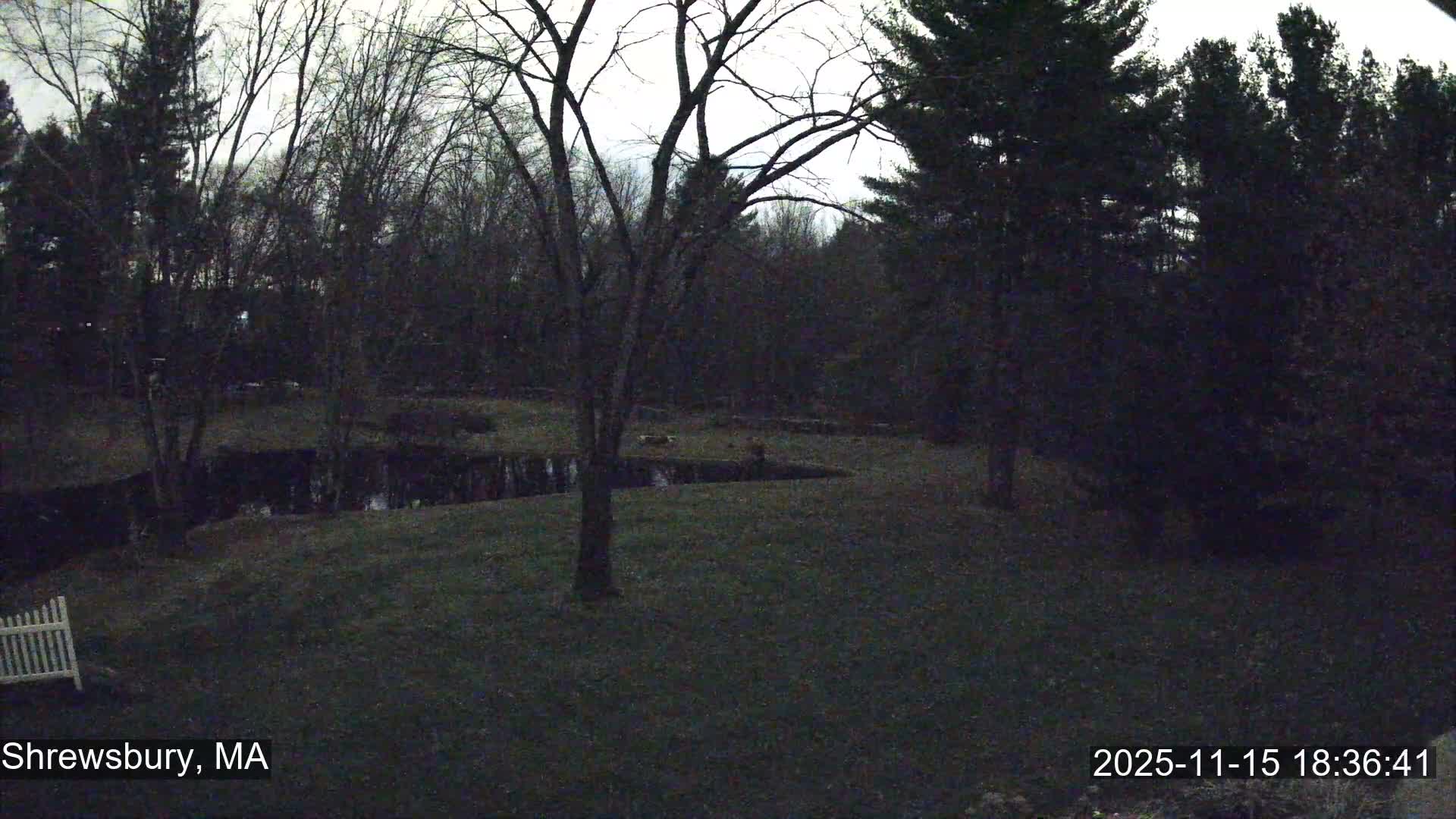 Scenic Pond and Trees Live Cam - Shrewsbury, Massachusetts , USA