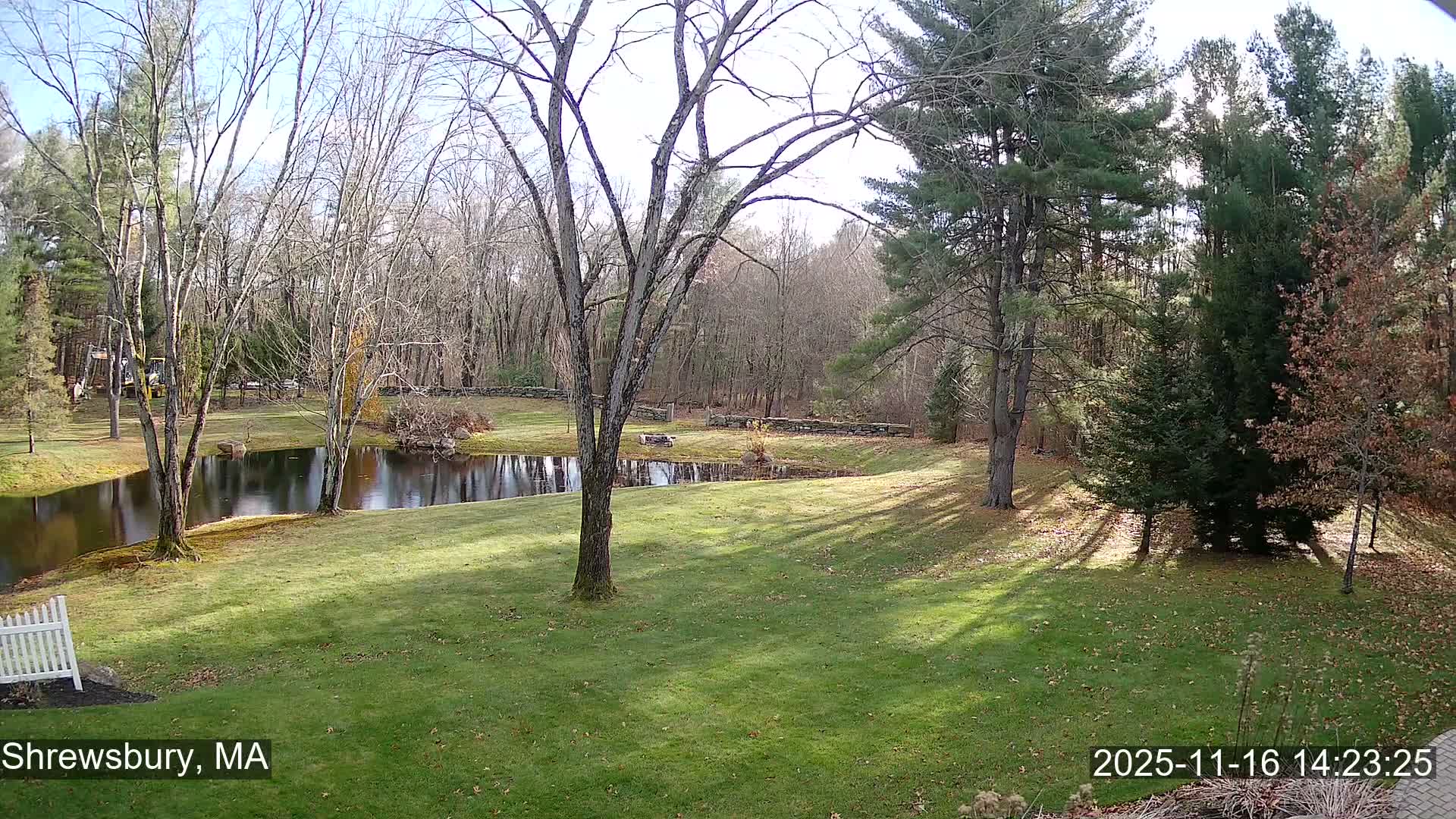 Scenic Pond and Trees Live Cam - Shrewsbury, Massachusetts , USA