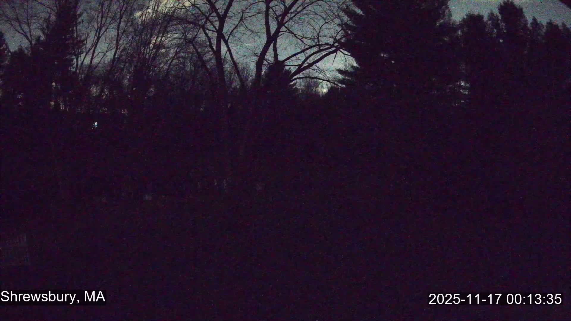 Scenic Pond and Trees Live Cam - Shrewsbury, Massachusetts , USA