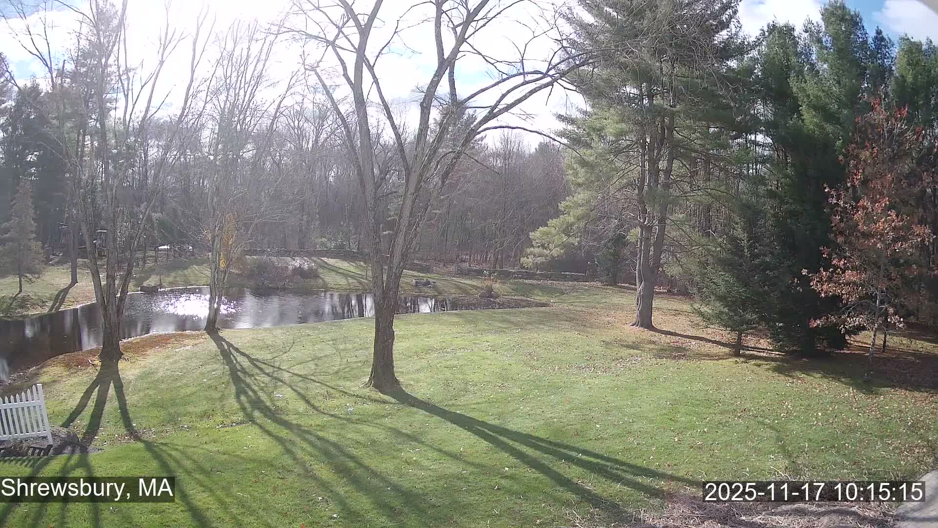 Scenic Pond and Trees Live Cam - Shrewsbury, Massachusetts , USA