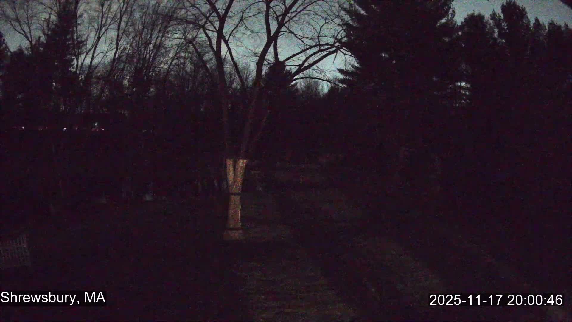 Scenic Pond and Trees Live Cam - Shrewsbury, Massachusetts , USA