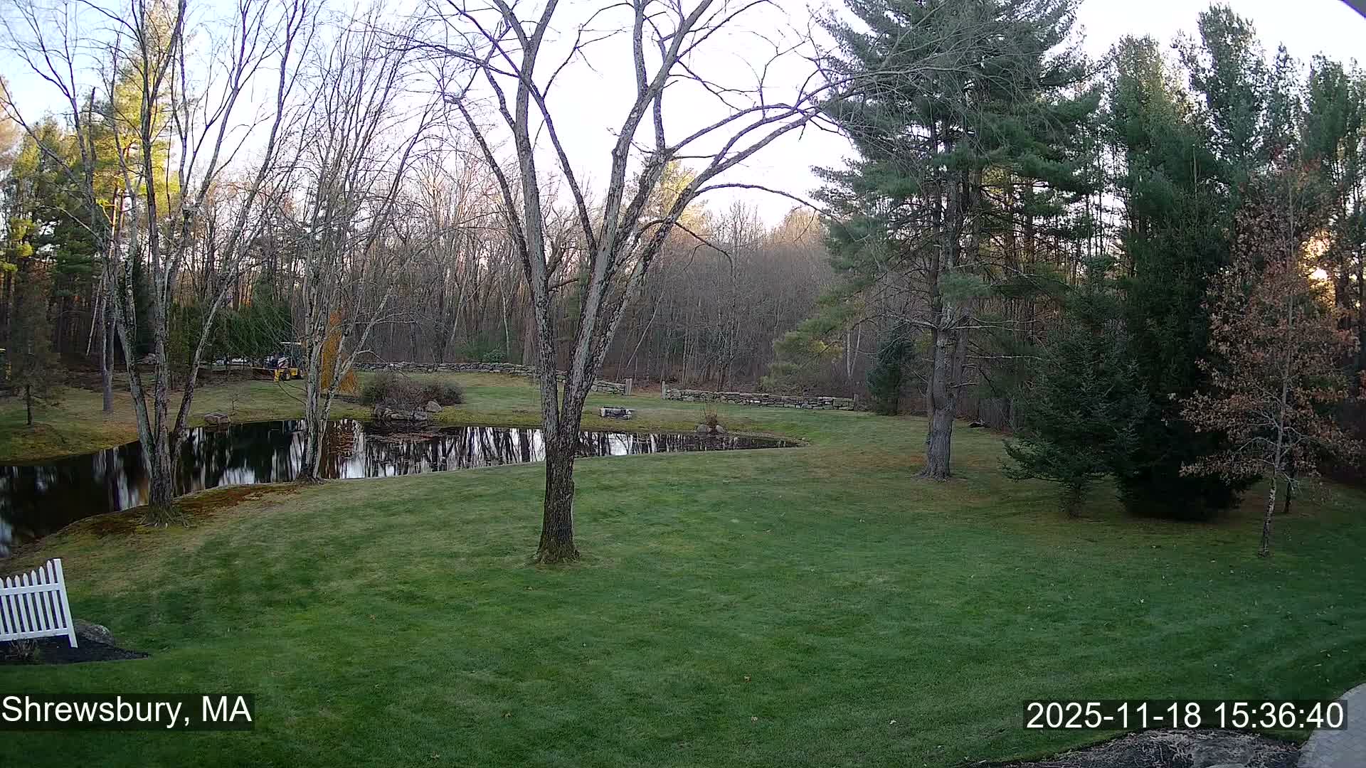 Scenic Pond and Trees Live Cam - Shrewsbury, Massachusetts , USA