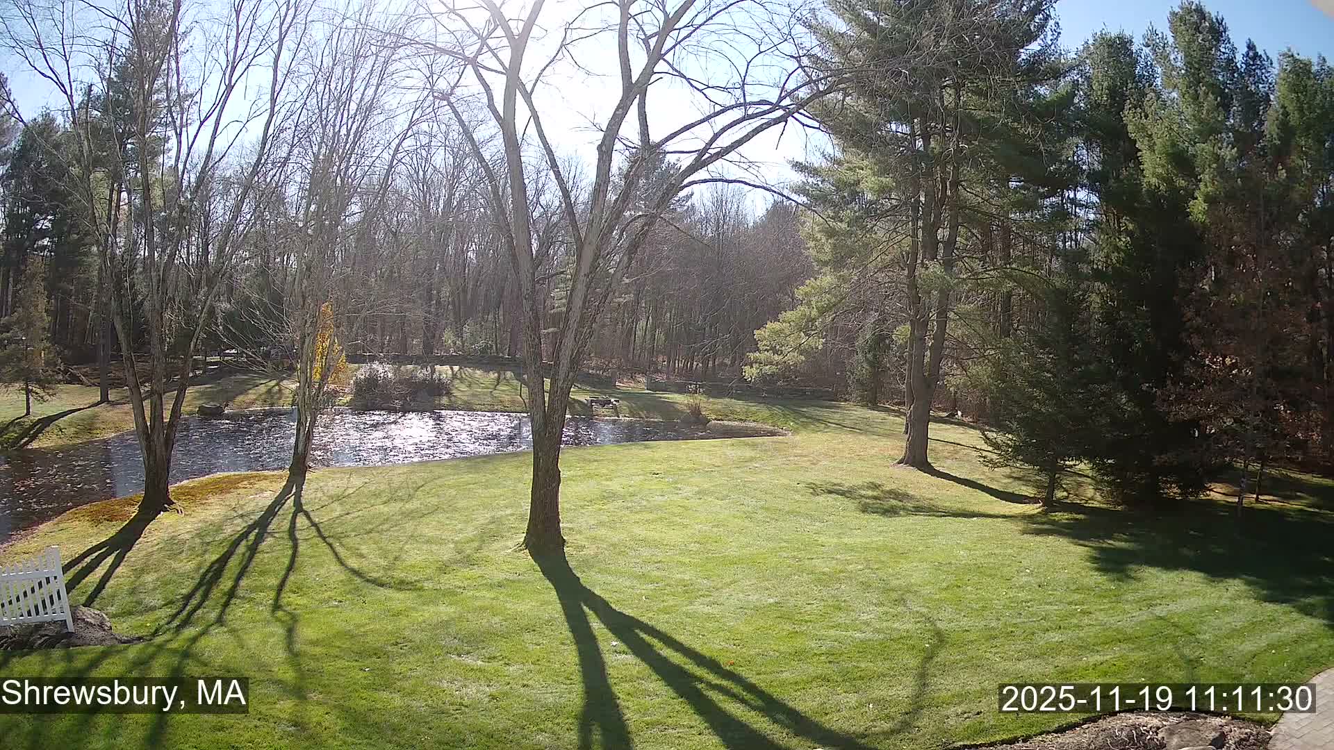Scenic Pond and Trees Live Cam - Shrewsbury, Massachusetts , USA