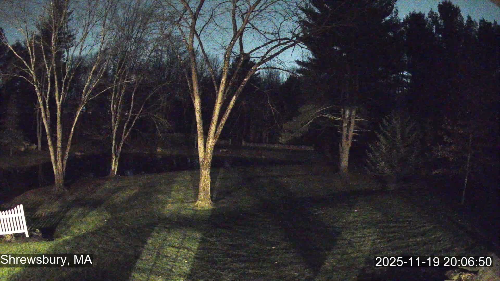 Scenic Pond and Trees Live Cam - Shrewsbury, Massachusetts , USA