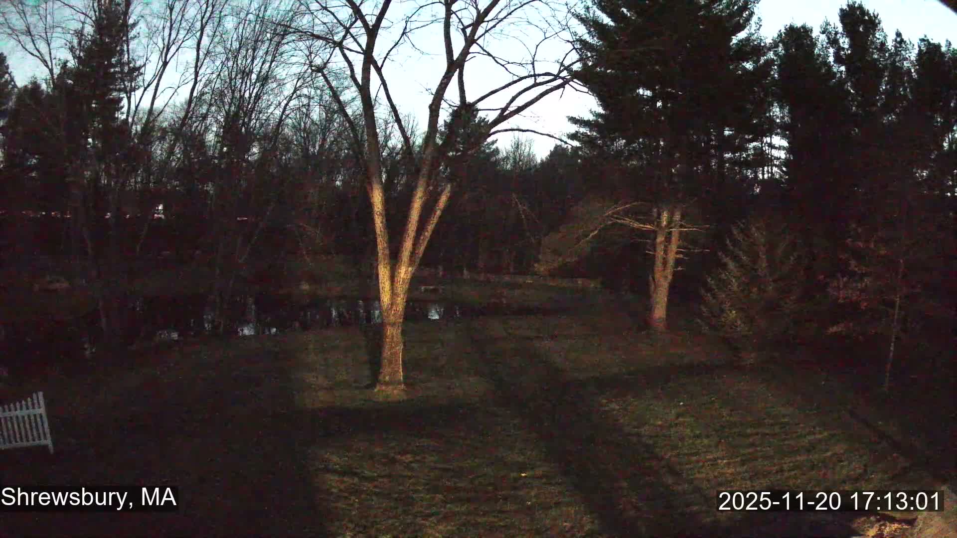 Scenic Pond and Trees Live Cam - Shrewsbury, Massachusetts , USA